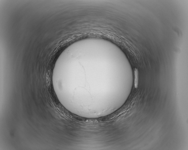 X0000111201491200907011019