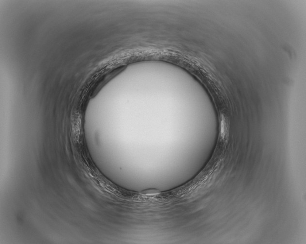 X0000111201492200907011019