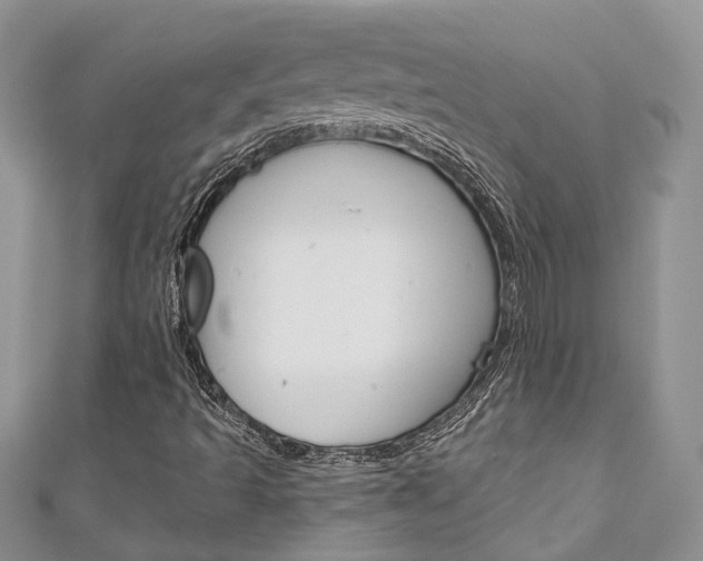 X0000111201493200907011019