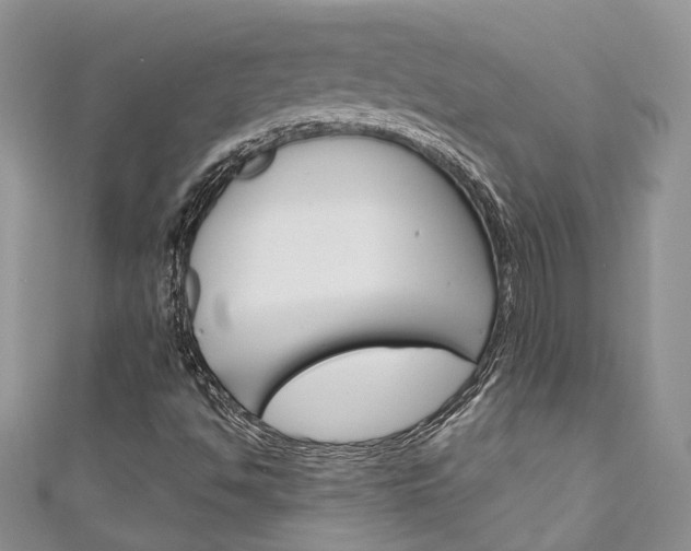 X0000111201494200907011019