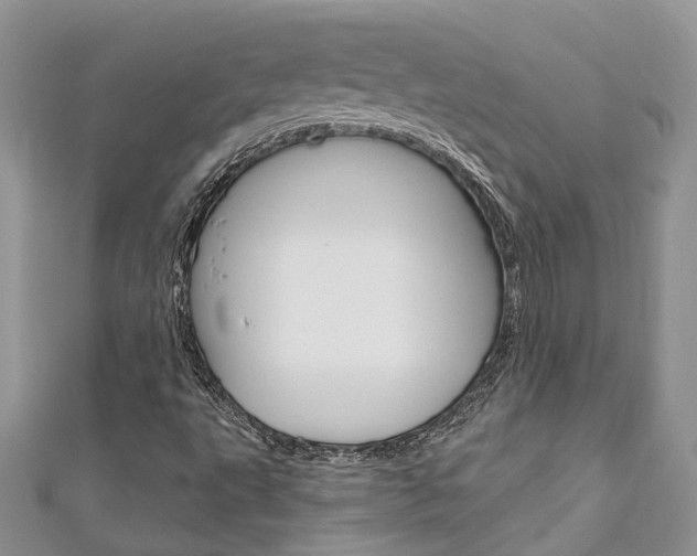 X0000111201495200907011019