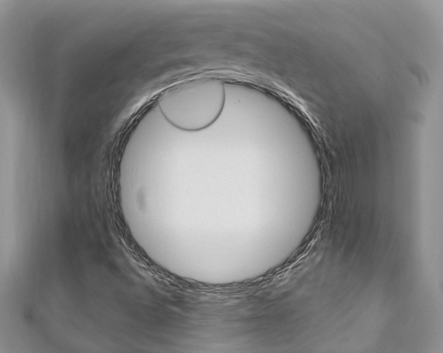 X0000111201496200907011019