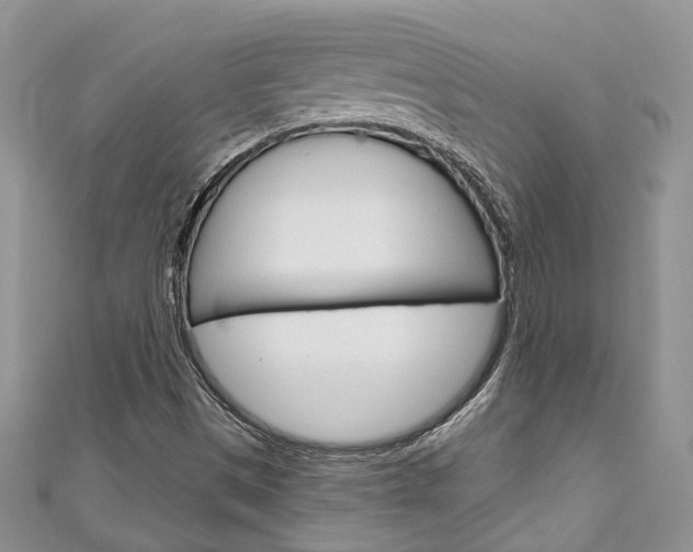 X0000111201497200907011019