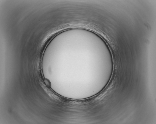 X0000111201499200907011019