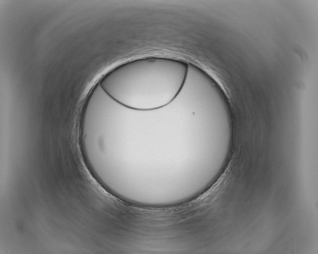 X0000111201500200907011019