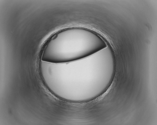 X0000111201502200907011019