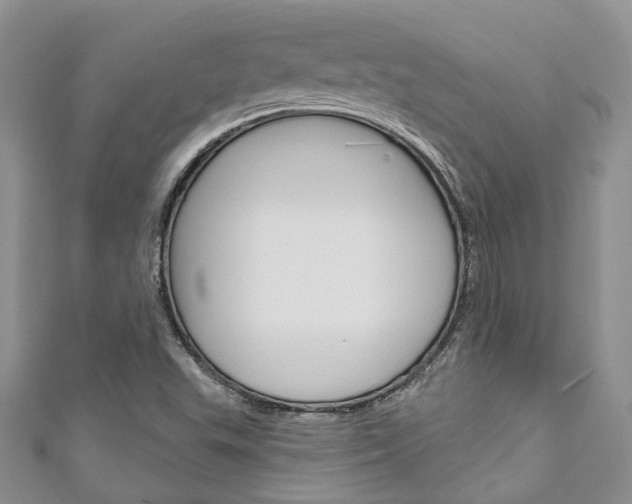 X0000111201503200907011019