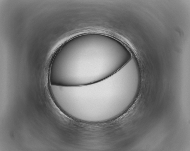 X0000111201504200907011019