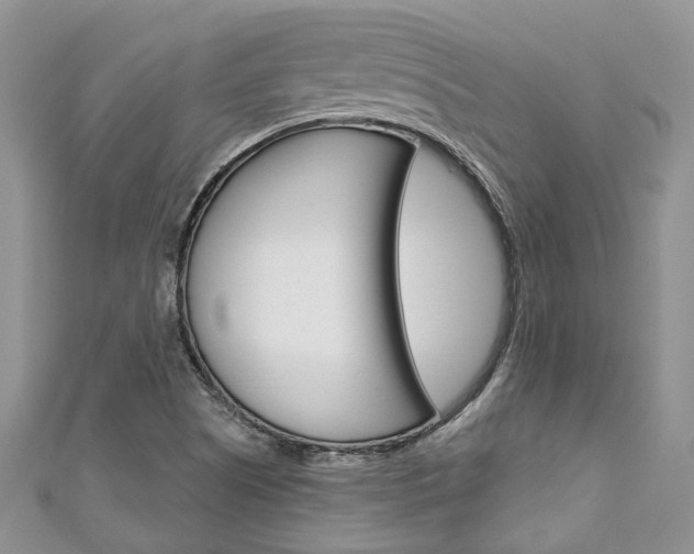 X0000111201505200907011019