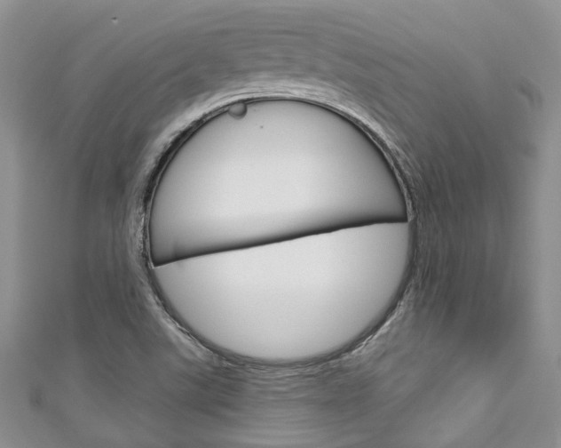 X0000111201507200907011019