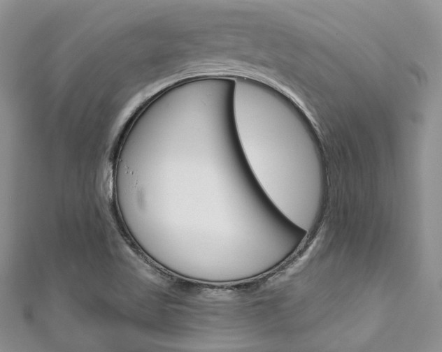 X0000111201509200907011019