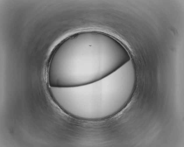 X0000111201510200907011019