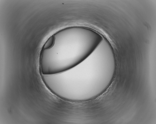 X0000111201512200907011019