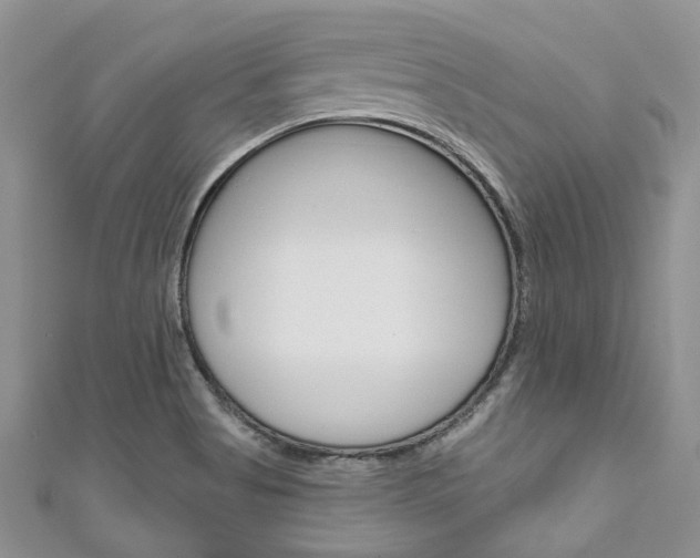 X0000111201513200907011019