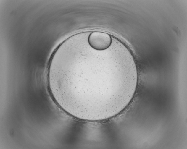 X0000111201514200907011019