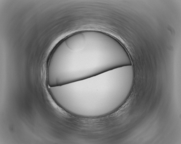 X0000111201515200907011019
