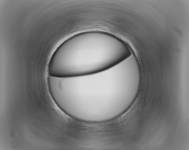 X0000111201516200907011019