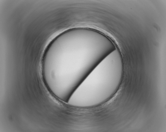 X0000111201517200907011019