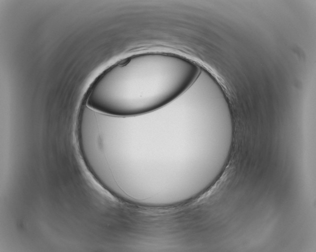 X0000111201518200907011019