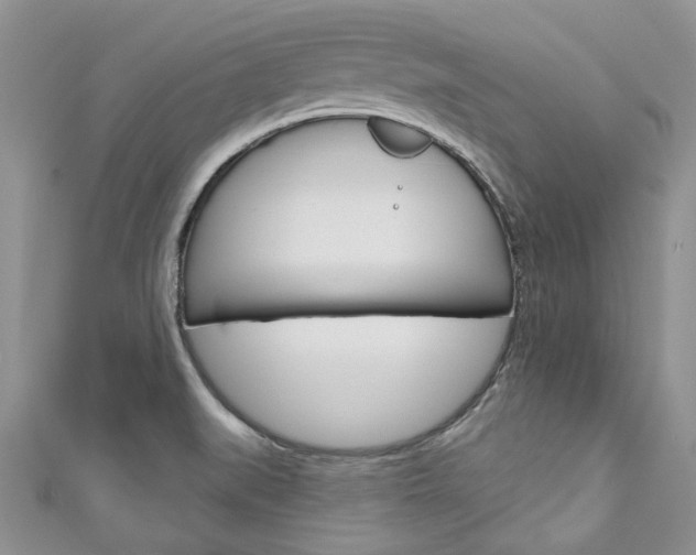 X0000111201519200907011019