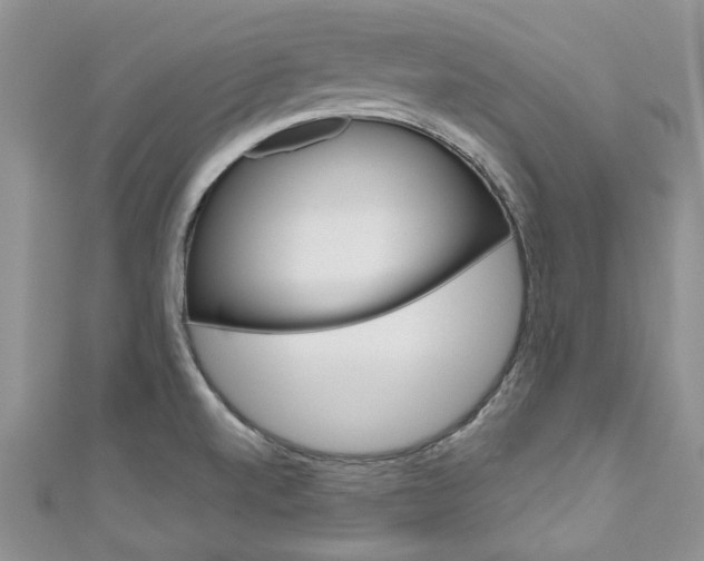 X0000111201520200907011019