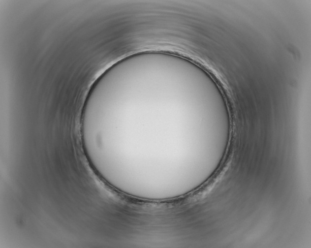 X0000111201521200907011019