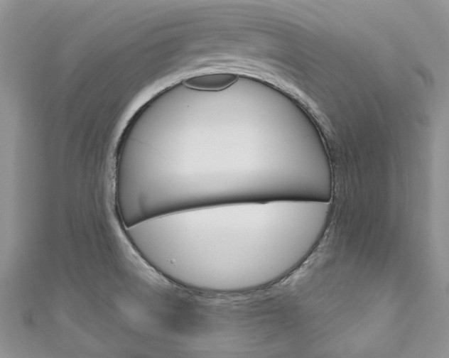 X0000111201522200907011019