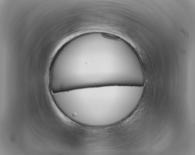 X0000111201523200907011019