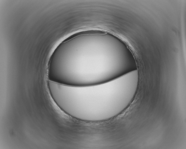 X0000111201524200907011019