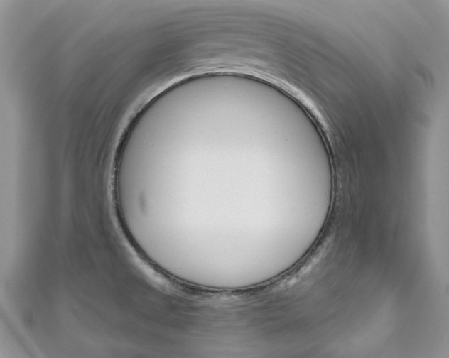 X0000111201525200907011019