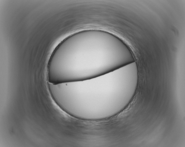 X0000111201527200907011019
