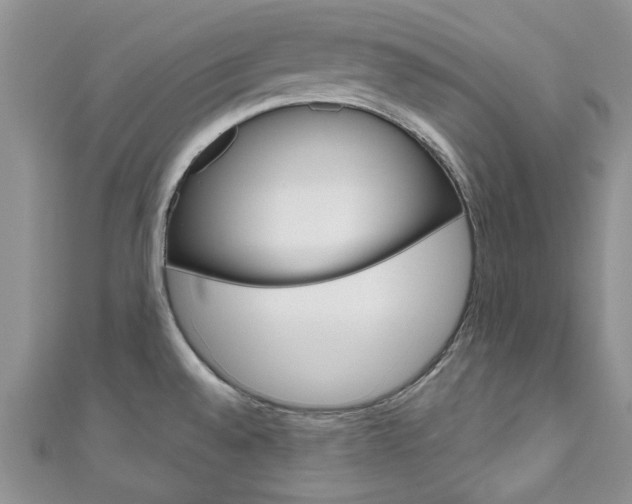 X0000111201528200907011019