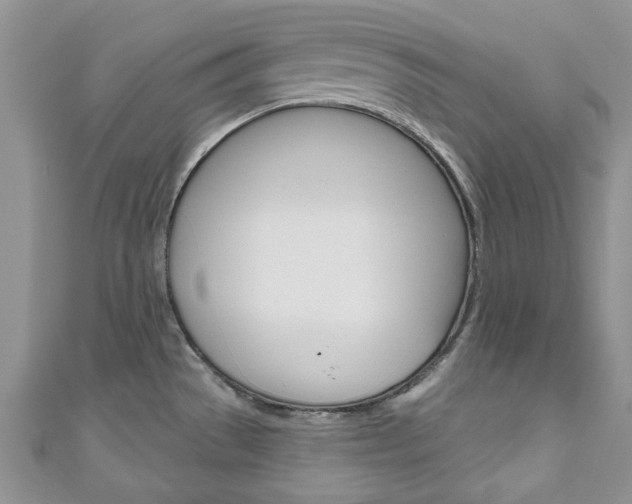 X0000111201529200907011019