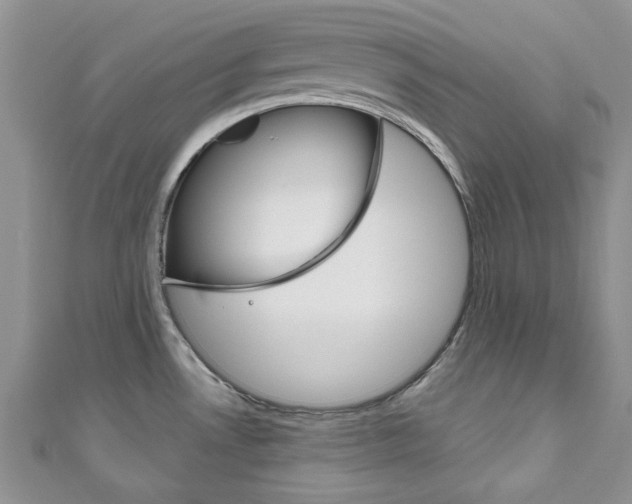 X0000111201530200907011019