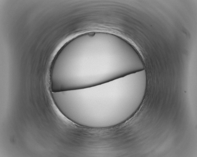 X0000111201531200907011019