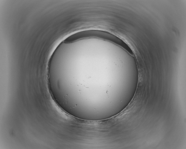 X0000111201532200907011019