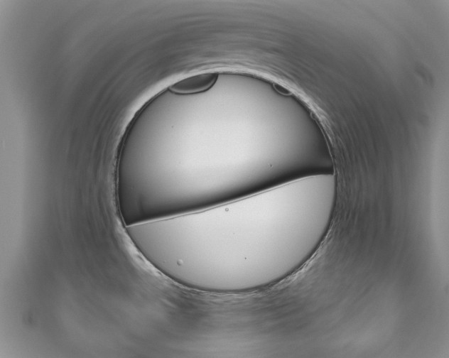 X0000111201534200907011019