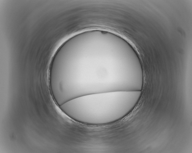 X0000111201535200907011019