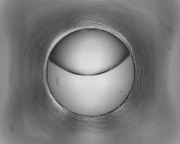 X0000111201536200907011019