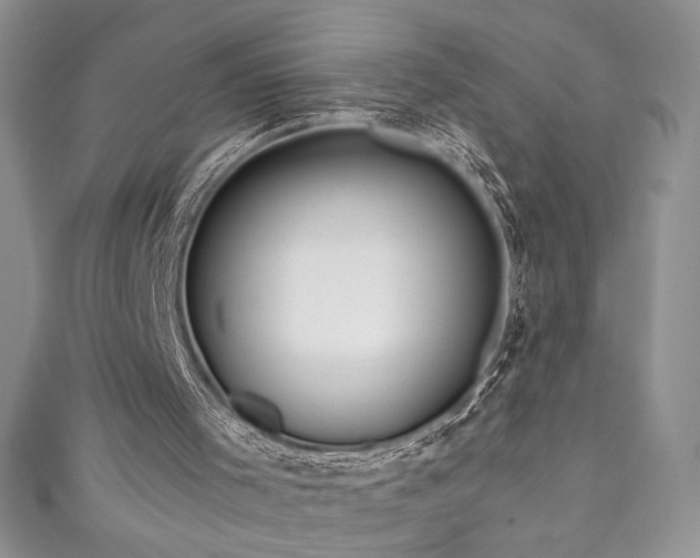 X0000111200001200907011443