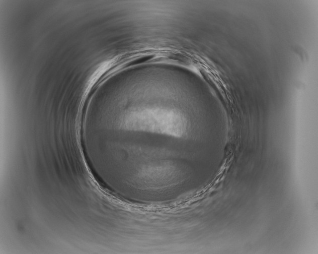 X0000111200003200907011443