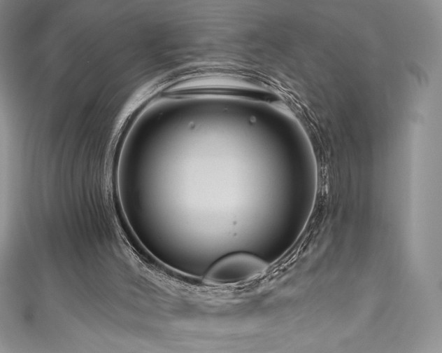 X0000111200004200907011443