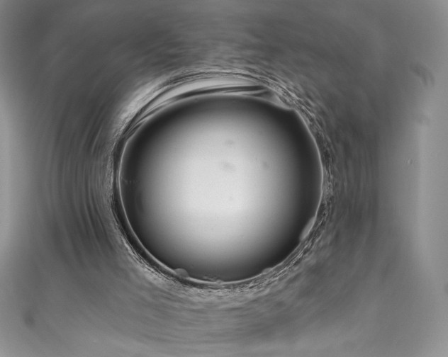 X0000111200005200907011443