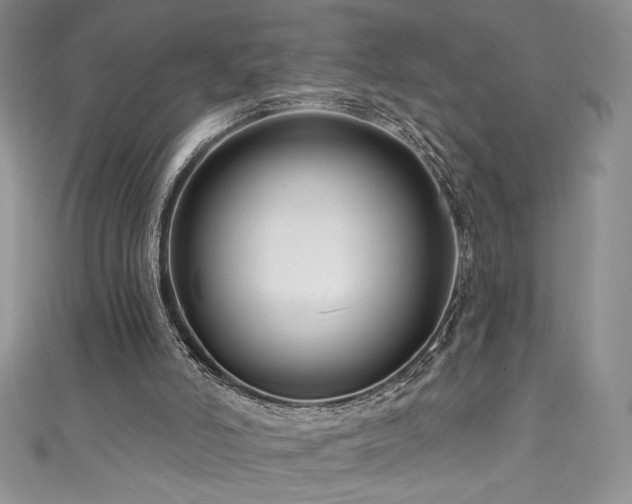 X0000111200006200907011443