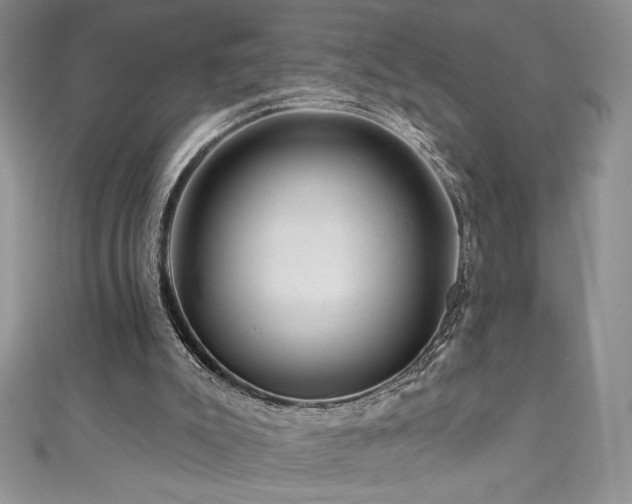 X0000111200007200907011443