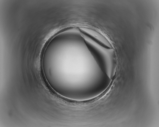 X0000111200008200907011443