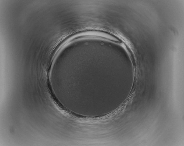 X0000111200009200907011443