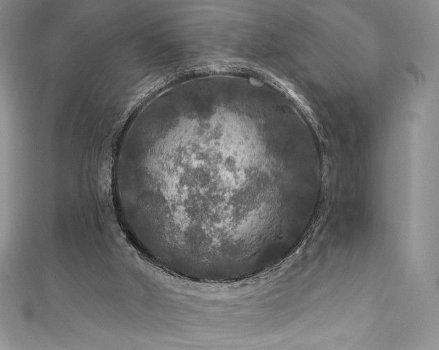 X0000111200010200907011443