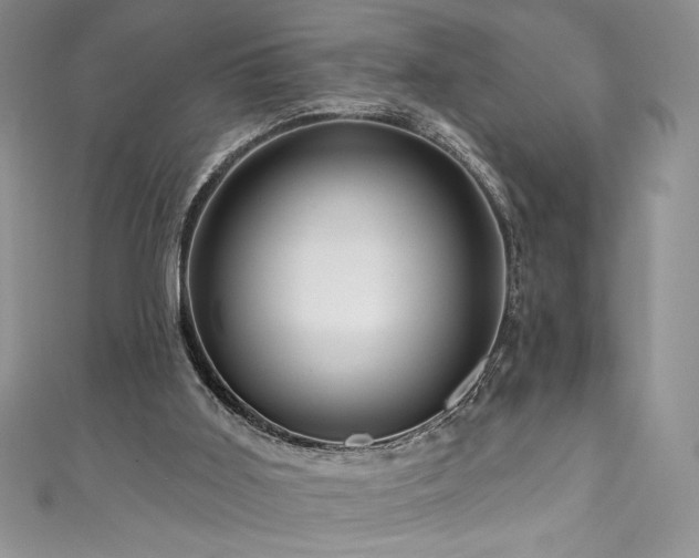 X0000111200011200907011443