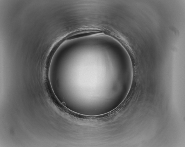 X0000111200012200907011442